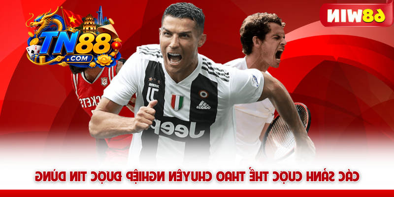 Thể Thao TN88 – Không Khí Rực Lửa, Kèo Thơm Mùa World Cup 6 Các sảnh cược thể thao TN88 chuyên nghiệp được tin dùng