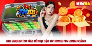 Khách Hàng Vip TN88 Và Đặc Quyền Giải Trí Thượng Lưu