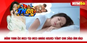 Giải Mã Giấc Mơ Thấy Crush Đánh Con Gì? Con Số May Mắn TN88